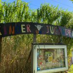 Schnickschnack&Back hat gespendet